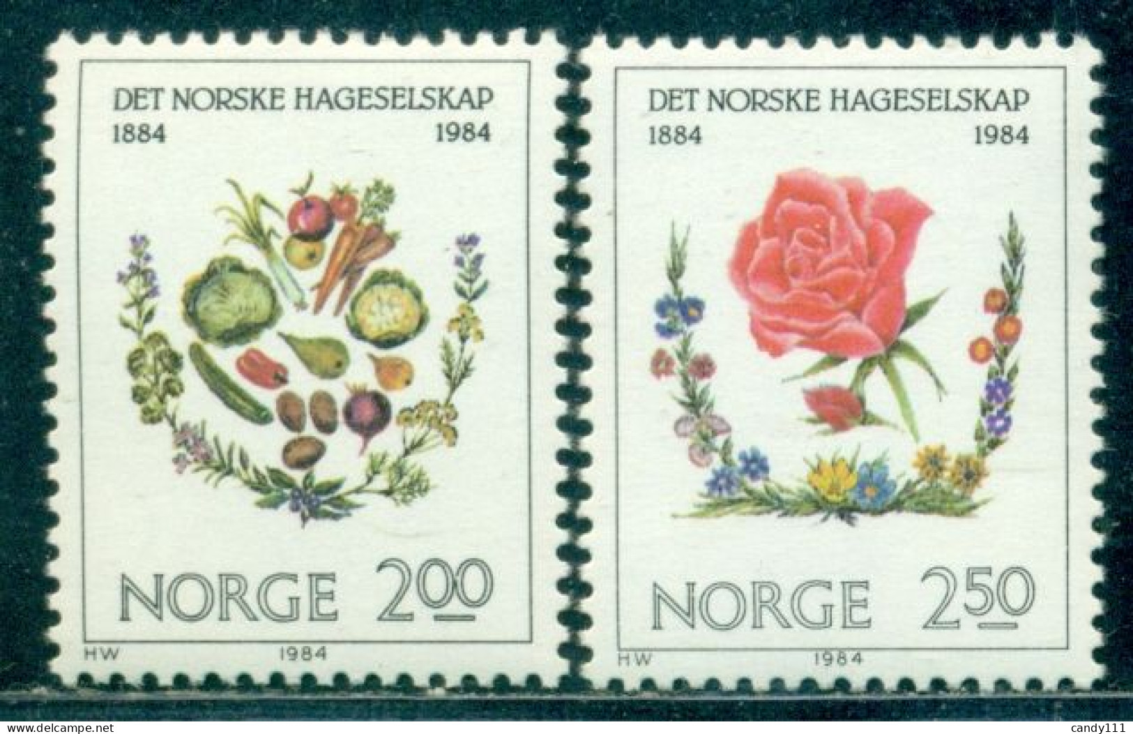 1984 Horticulture,Fruits,vegetables,spices,Rose,flowers,Norway,Mi.906,MNH - Vegetazione