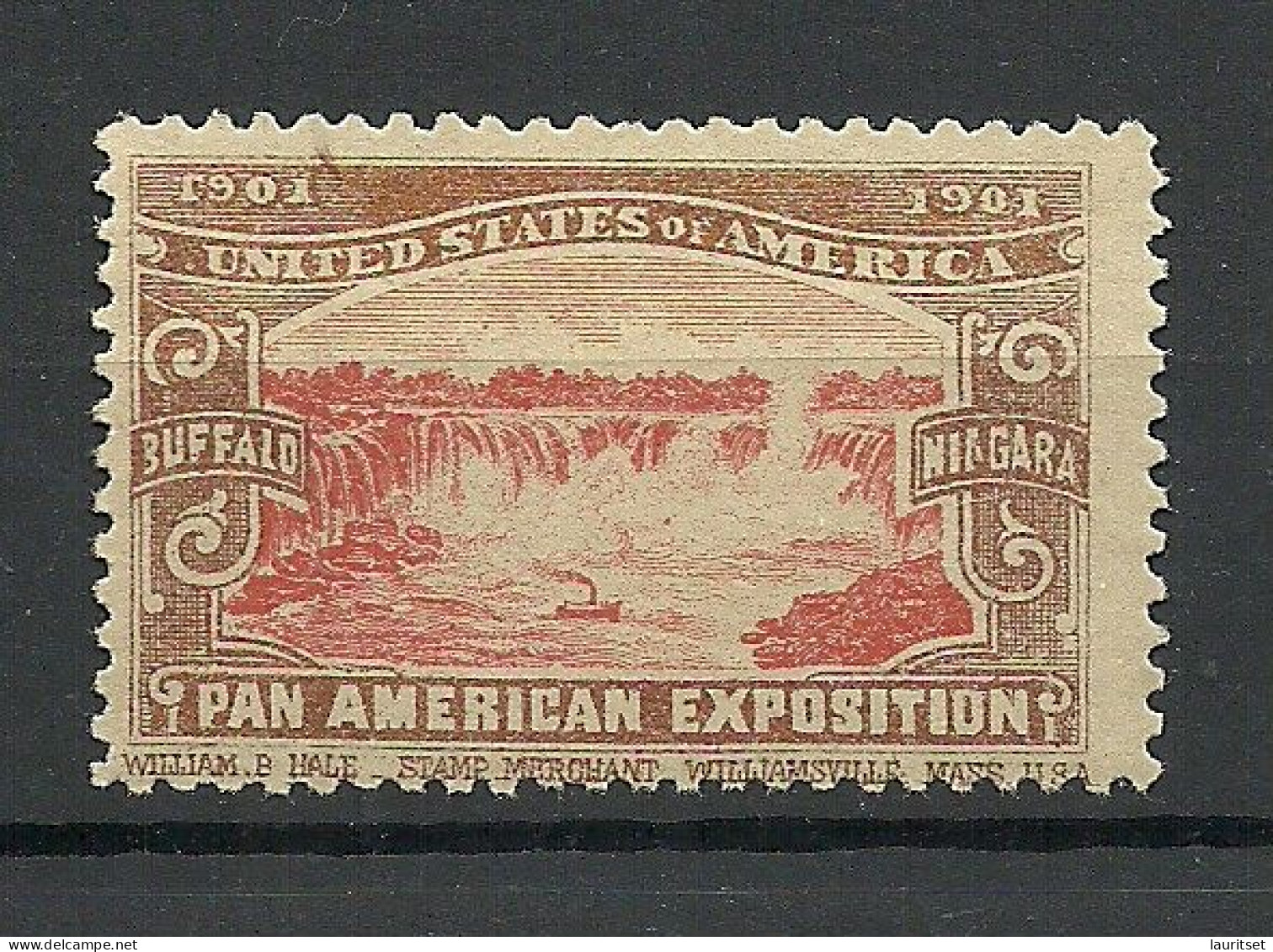 USA 1901 Pan American Exposition 1901 Buffalo & Niagara Advertising Poster Stamp Reklamemarke (*) - Unused Stamps