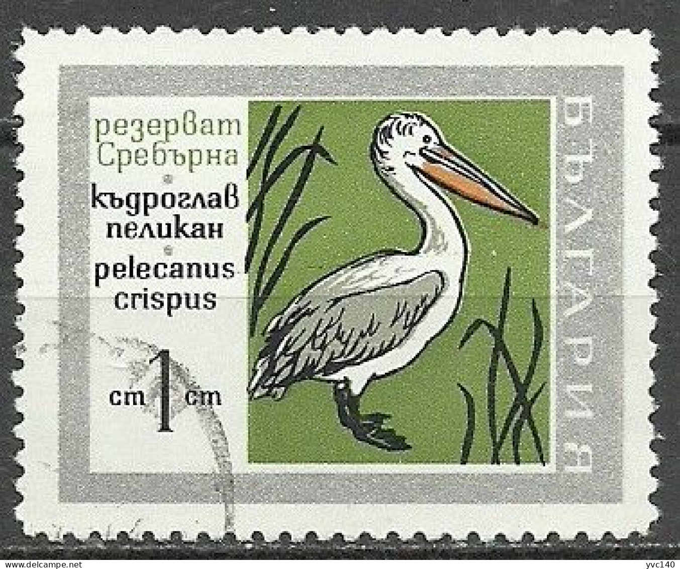 Bulgaria ; 1984 WWF Birds "Pelicans" - Pélicans