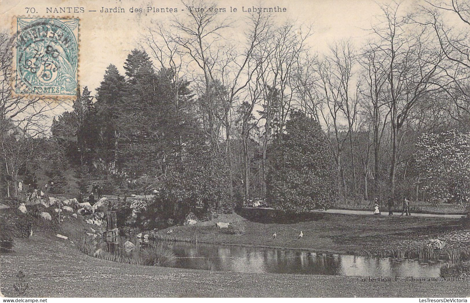 FRANCE - 44 - NANTES - Le Jardin Des Plantes - Vue Vers Le Labyrinthe - Cartes Postales Anciennes - Nantes