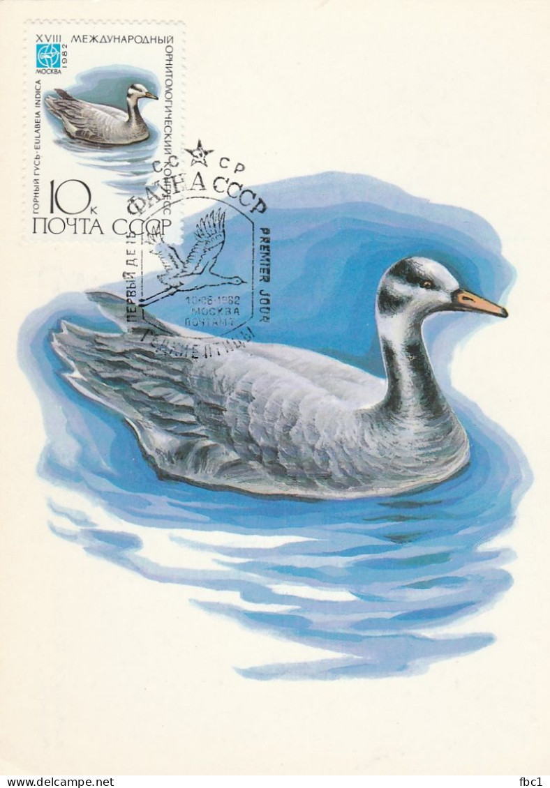 Carte Maximum - URSS - 1982 - Eulabeia Indica - Oie - Geese