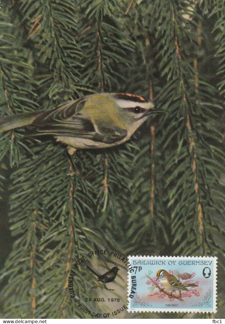 Carte Maximum - Guernsey - Firecrest - Roitelet 1978 - Sparrows