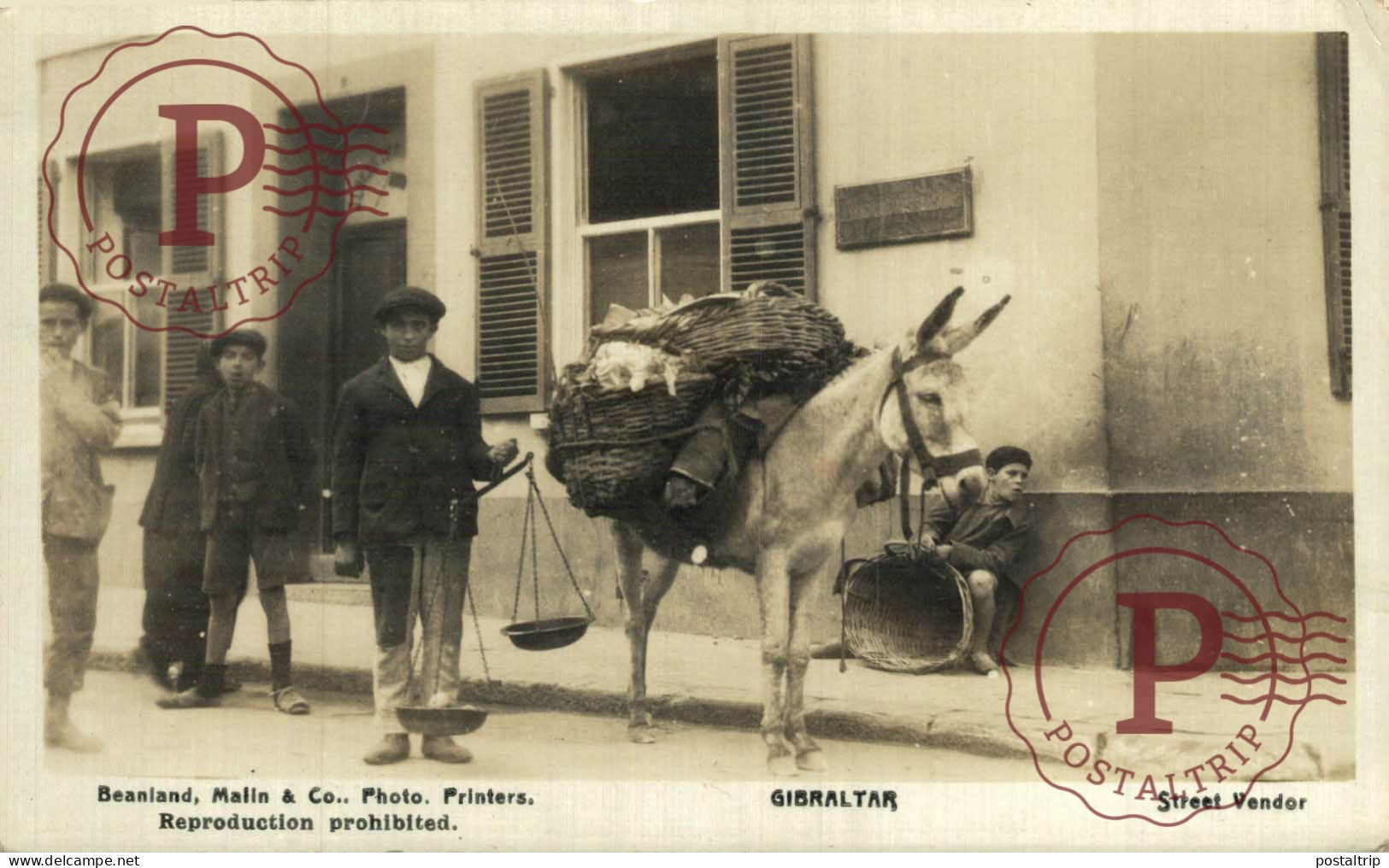 GIBRALTAR. STREET VENDEDOR. RPPC. REAL PHOTO. FOTOGRAFICA. - Gibraltar