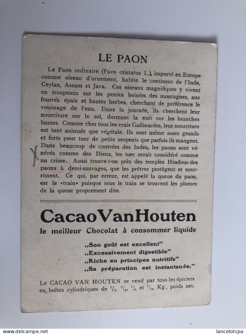 CHROMO CACAO VAN HOUTEN / LE PAON - Van Houten