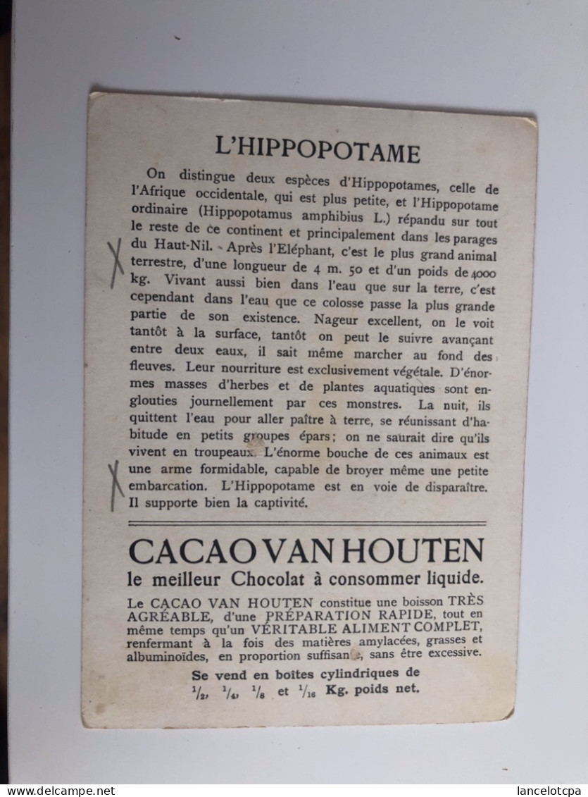 CHROMO CACAO VAN HOUTEN / HIPPOPOTAME - Van Houten