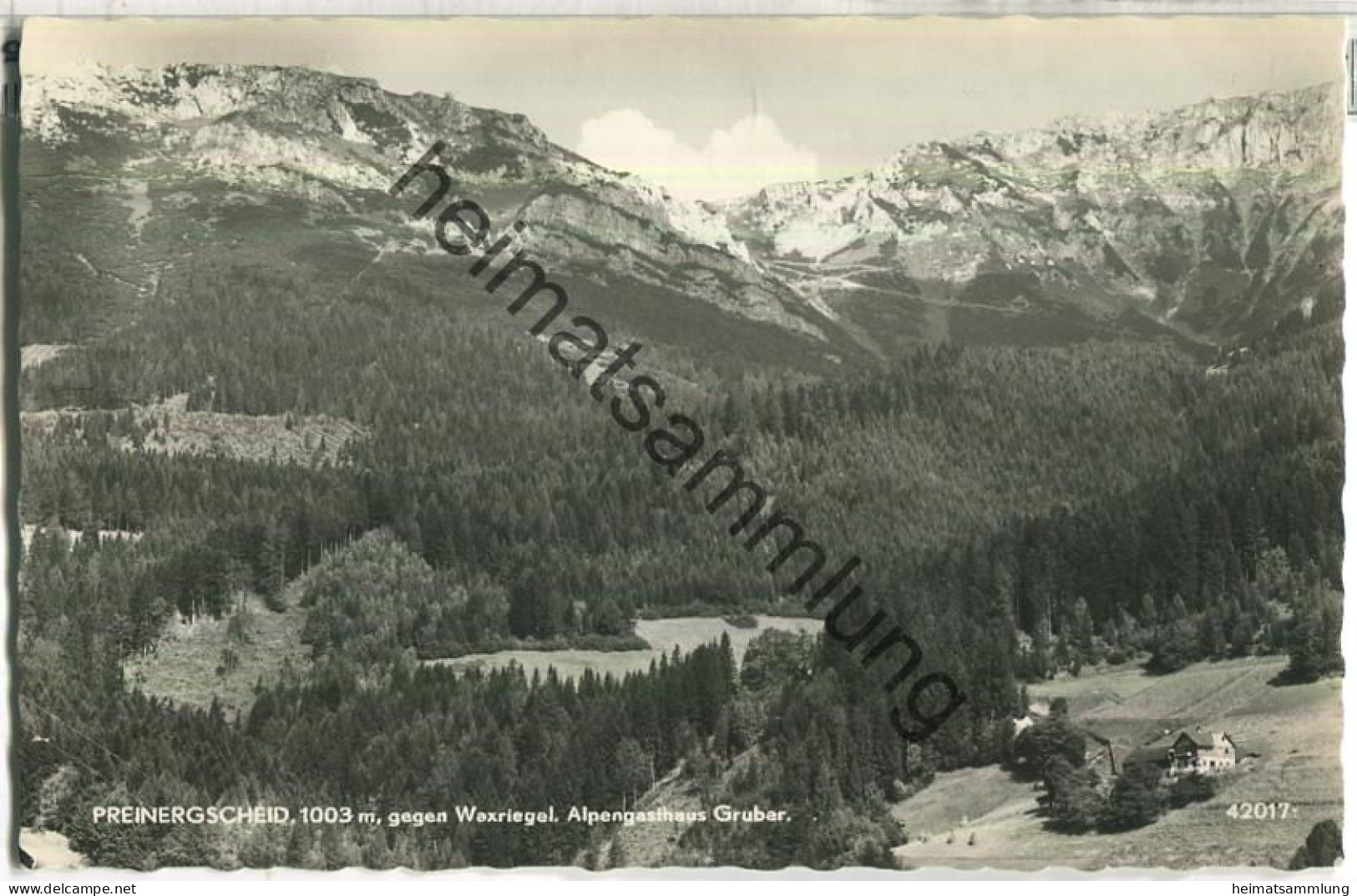 Preiner Gscheid Gegen Waxriegel - Alpengasthaus Gruber - Foto-Ansichtskarte - Verlag P. Ledermann Wien - Raxgebiet