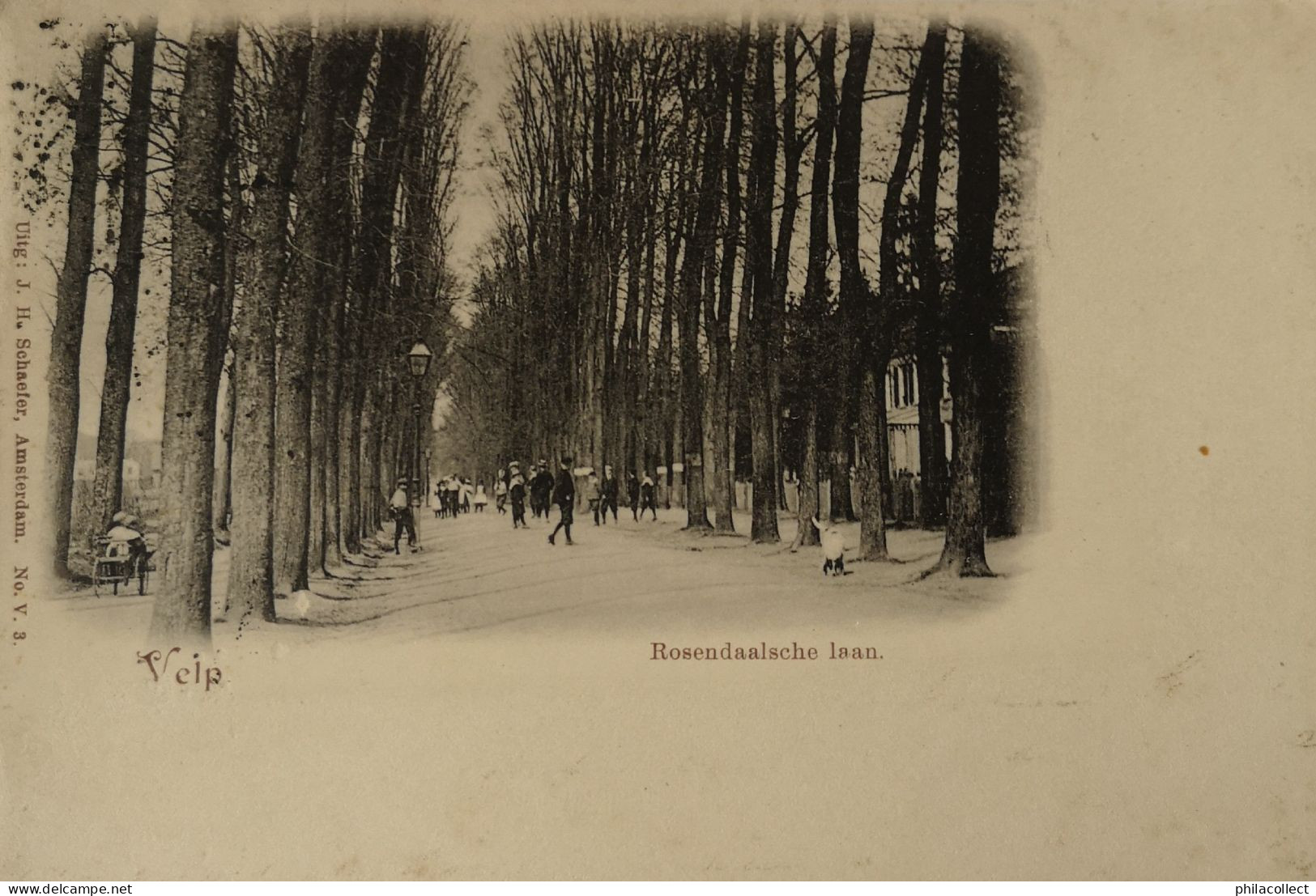 Velp (Gld.) Rosendaalsche Laan 1901 - Velp / Rozendaal