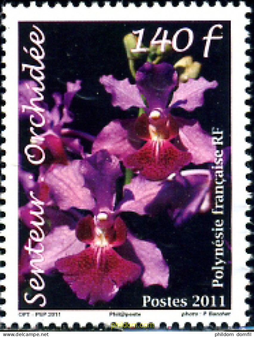 269606 MNH POLINESIA FRANCESA 2011 ORQUIDEAS - Neufs