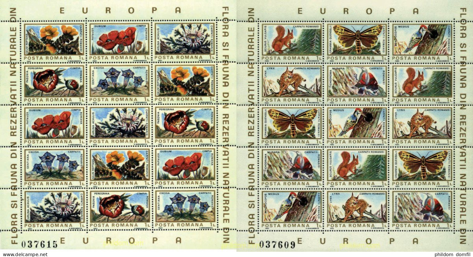 7600 MNH RUMANIA 1983 FAUNA Y FLORA EUROPEA - Spinnen