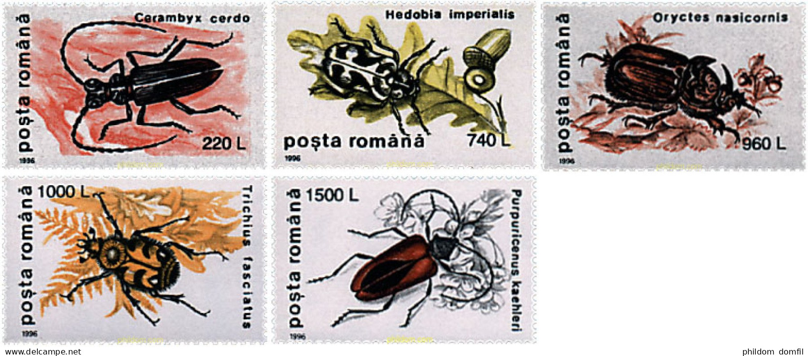 62539 MNH RUMANIA 1996 INSECTOS - Arañas