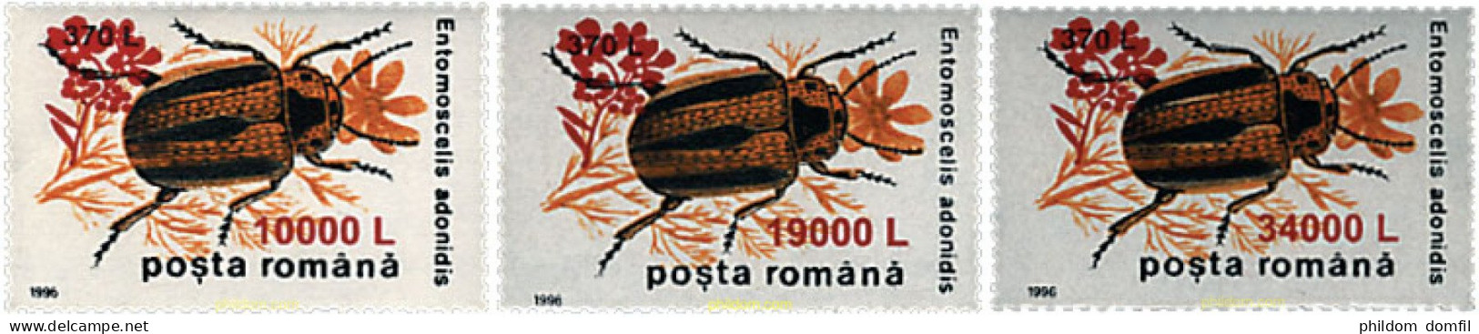 62554 MNH RUMANIA 2000 INSECTOS - Araignées