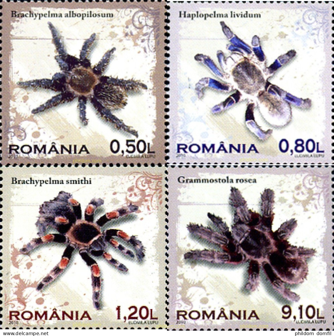 245918 MNH RUMANIA 2010 ARAÑAS - Araignées