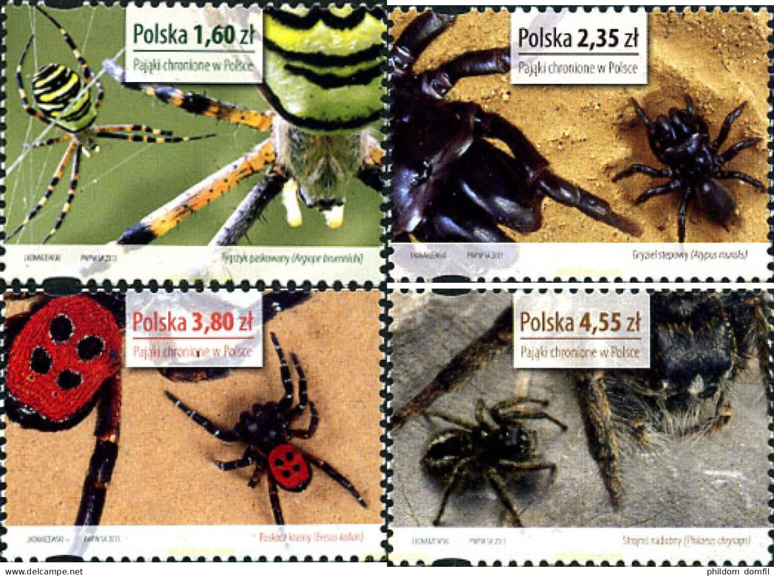 315141 MNH POLONIA 2013 ARAÑAS - Ragni