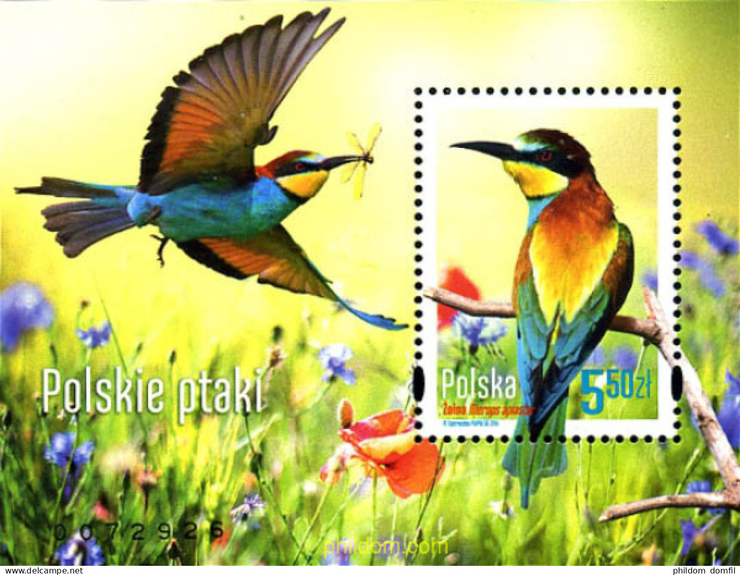 327611 MNH POLONIA 2014 AVES DE POLONIA - Sonstige & Ohne Zuordnung