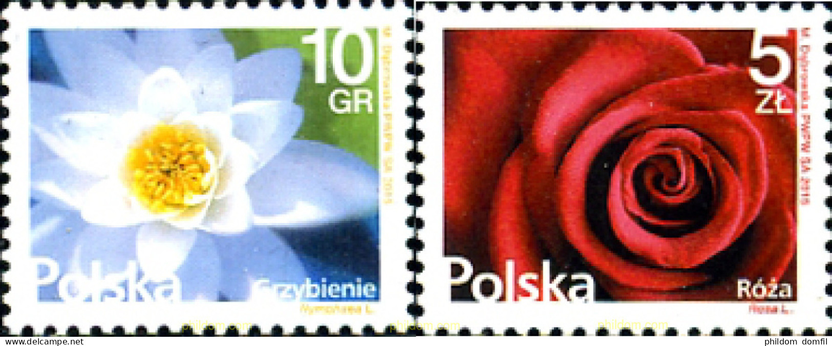 353575 MNH POLONIA 2015 FLORES - Andere & Zonder Classificatie