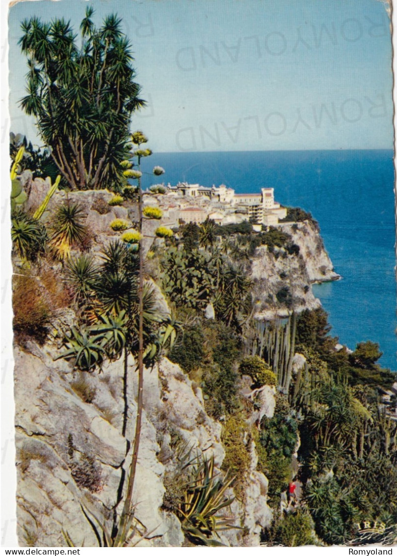 CARTOLINA  PRINCIPAUTE DE MONACO-LE ROCHER DE MONACO,LE MUSEE OCEANOGRAPHIQUE VUS DU ARDIN EXOTIQUE-VIAGGIATA 1969 - Oceanographic Museum