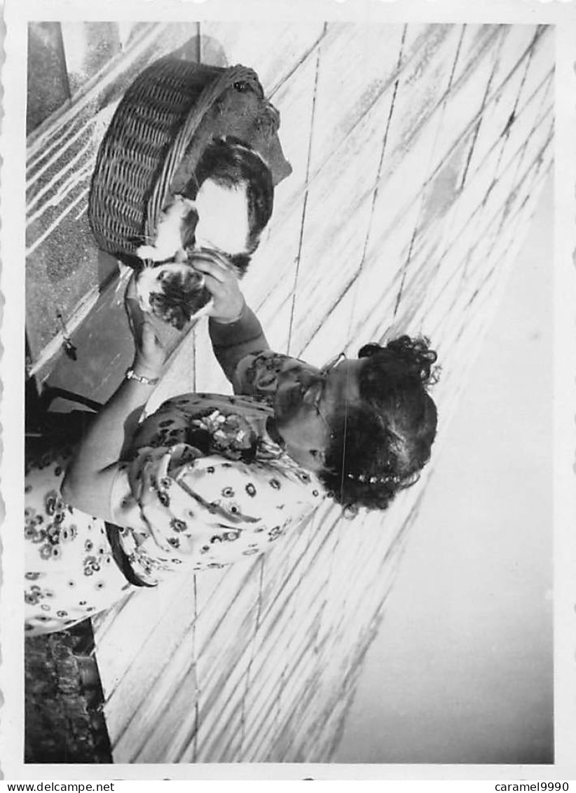 Wingene Zwevezele    32 echte foto's   anno 1944  6x8,5cm       D 3490