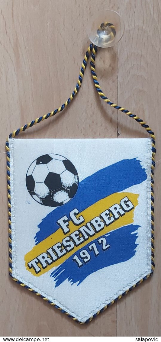 FC TRIESENBERG - Liechtenstein Football Club Soccer Fussball Calcio Futebol PENNANT, SPORTS FLAG ZS 3/13 - Habillement, Souvenirs & Autres