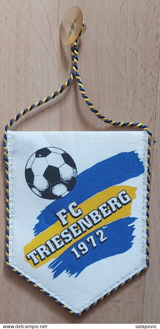 FC TRIESENBERG - Liechtenstein Football Club Soccer Fussball Calcio Futebol PENNANT, SPORTS FLAG ZS 3/13 - Habillement, Souvenirs & Autres