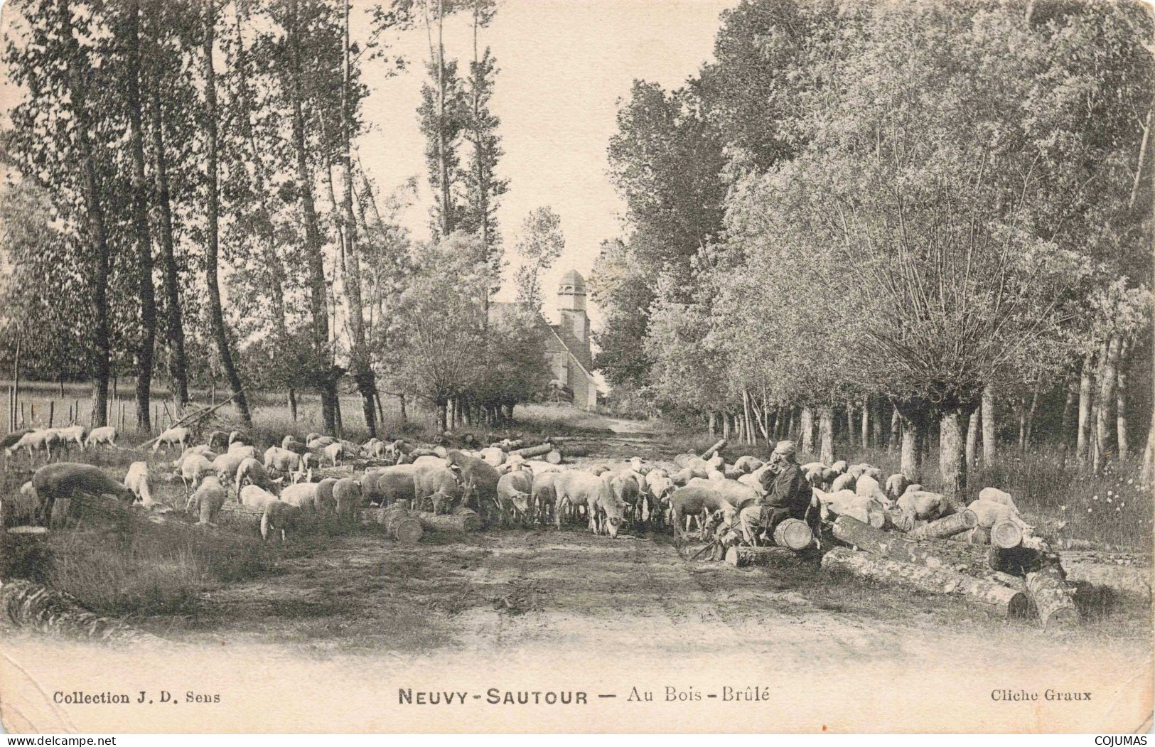 89 - NEUVY SAUTOUR - S12433 - Au Bois Brûlé - Agriculture - L1 - Neuvy Sautour