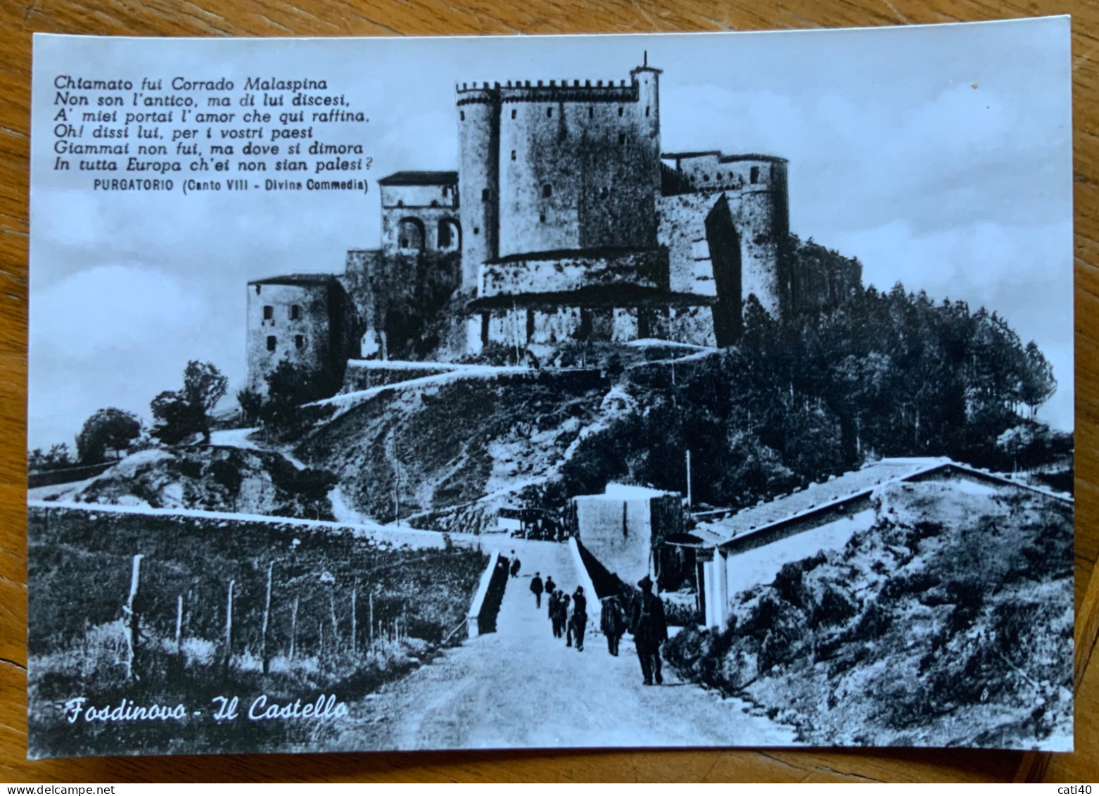 FOSDIVOVO - IL CASTELLO - PANORAMA - CON I VERSI DI DA NTE -  G.F. MM 280 - Carrara