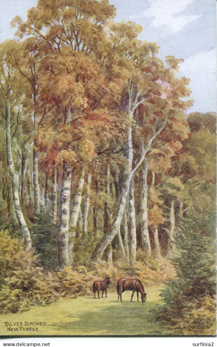 A R QUINTON - SALMON 2860 - SILVER BIRCHES, NEW FOREST - Quinton, AR