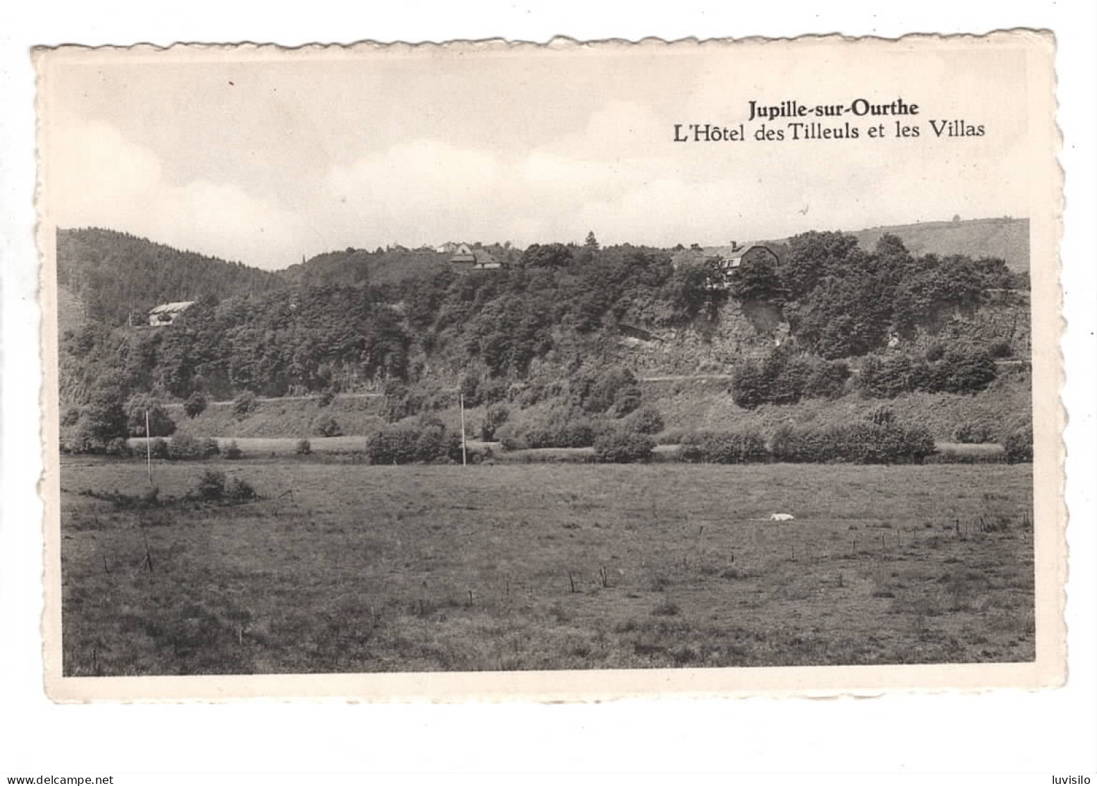 Jupille Sur Ourthe Hôtel Des Tilleuls Et Les Villas - Rendeux