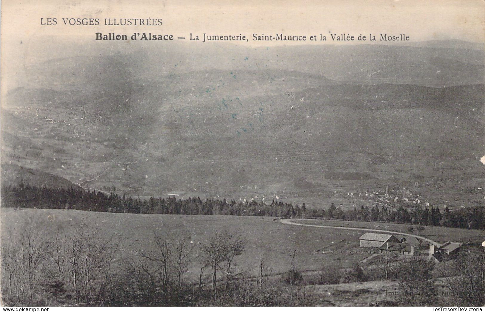 FRANCE - 88 - BALLON D'ALSACE - La Jumenterie - Sainte Maurice Et La Vallée De La Moselle - Carte Postale Ancienne - Andere & Zonder Classificatie