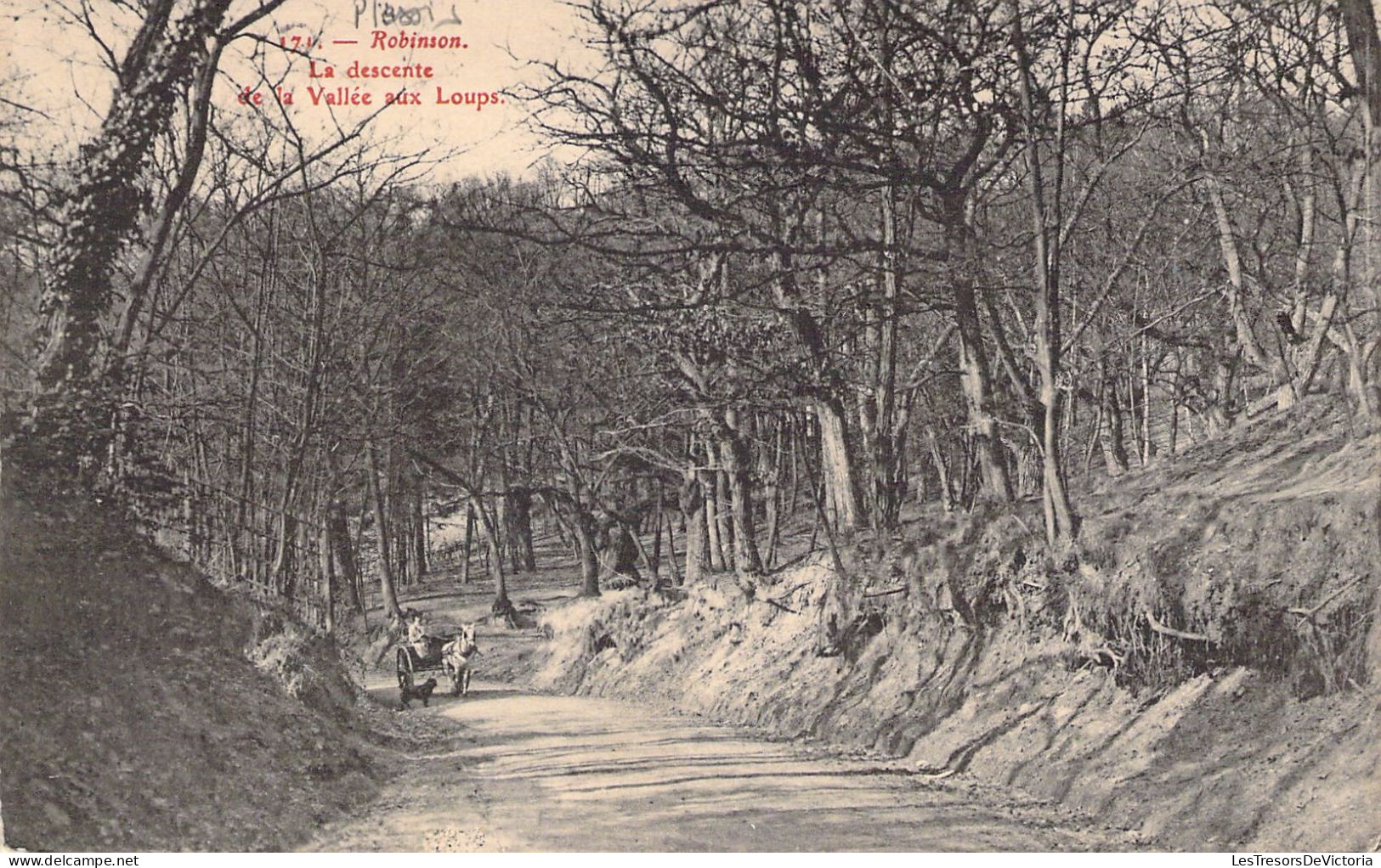 FRANCE - 92 - ROBINSON - La Descente Aux Loups - Carte Postale Ancienne - Andere & Zonder Classificatie