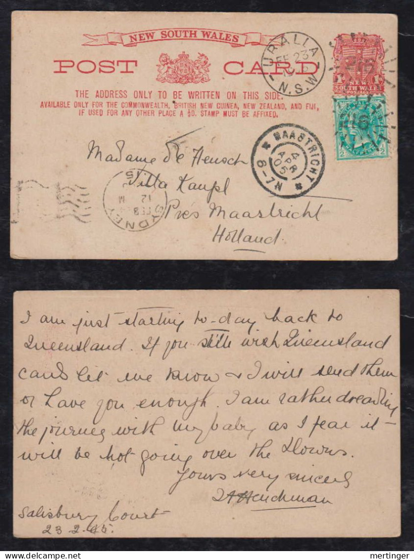 New South Wales Australia 1905 Uprated Stationery Postcard URALLA X MAASTRICHT Netherlands - Covers & Documents