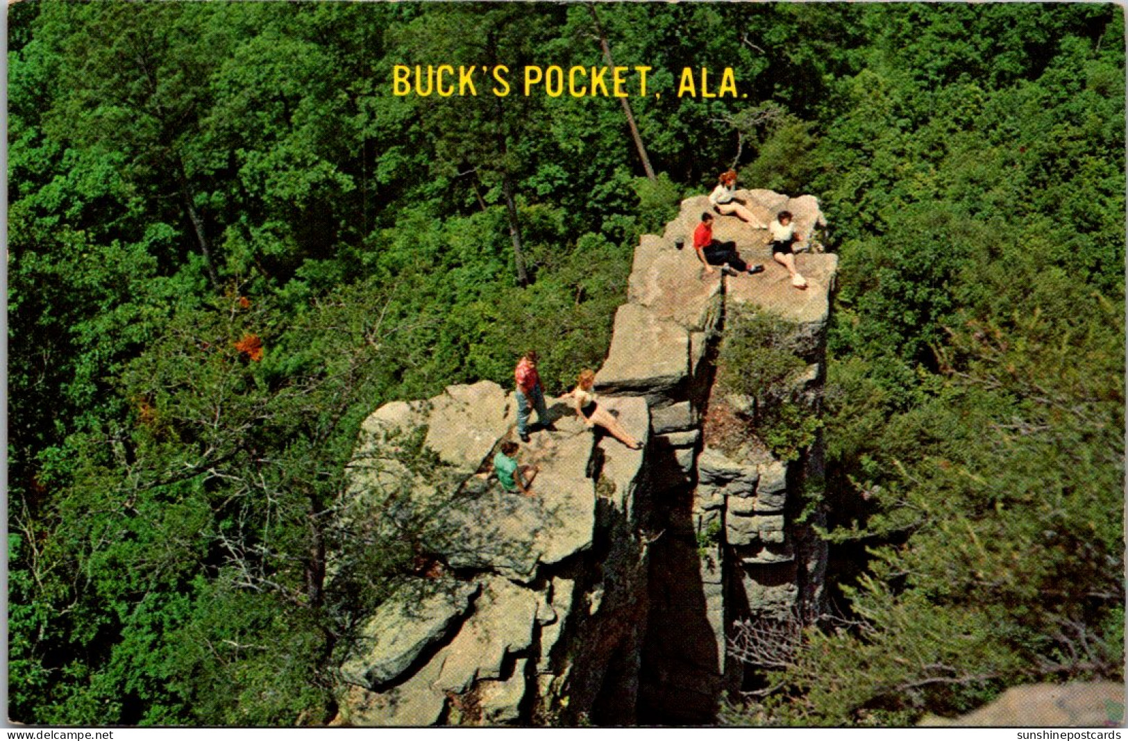 Alabama DeKalb County Grove Oak Buck's Pocket - Autres & Non Classés