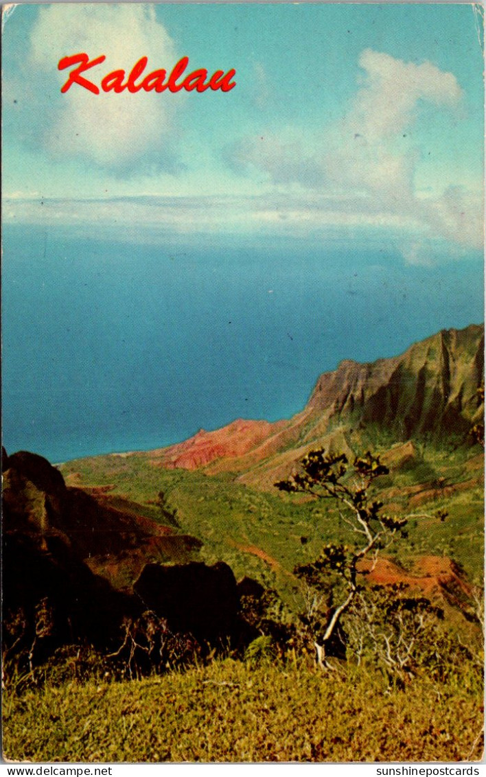 Hawaii Kauai Kalalau Lookout Overlooking The Valley Of The Lost Tribe 1970 - Kauai