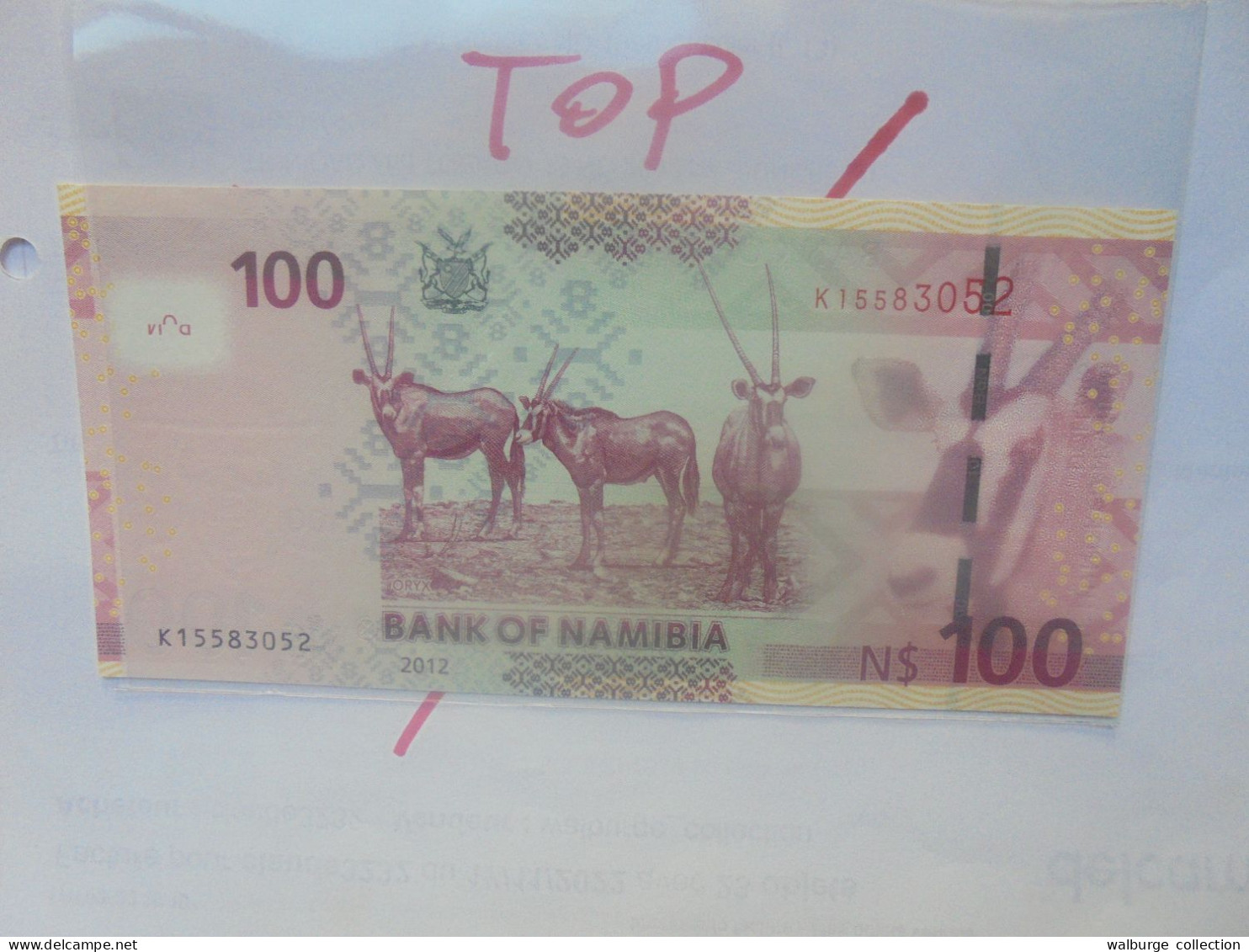 NAMIBIE 100$ 2012 Neuf/UNC (B.29) - Namibia