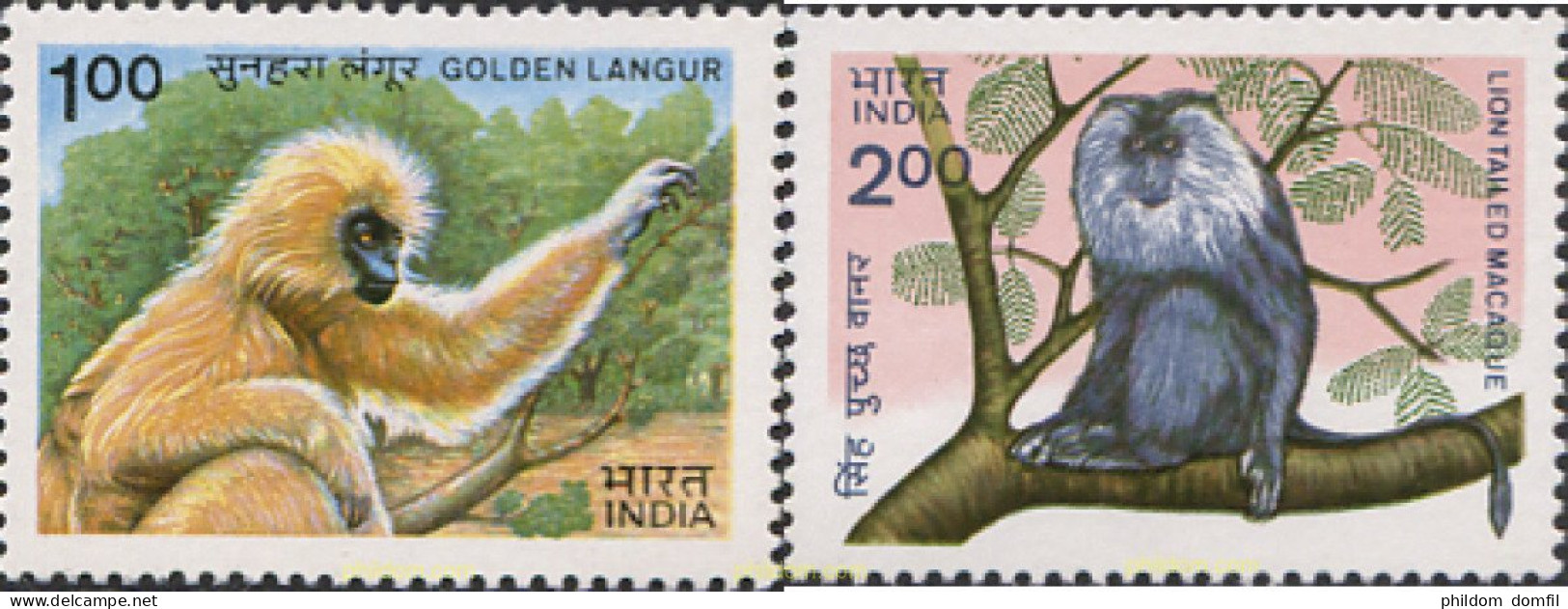 28713 MNH INDIA 1983 MONOS - Chimpansees