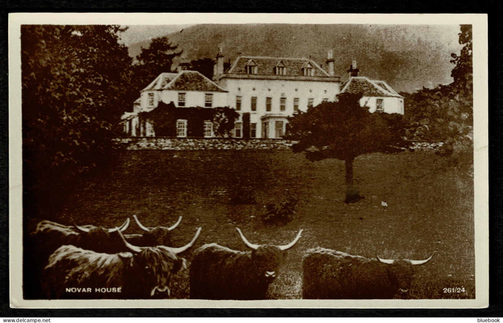 Ref 1605 -  Real Photo Postcard - Novar House & Highland Cattle Evanton Ross-shire Scotland - Ross & Cromarty