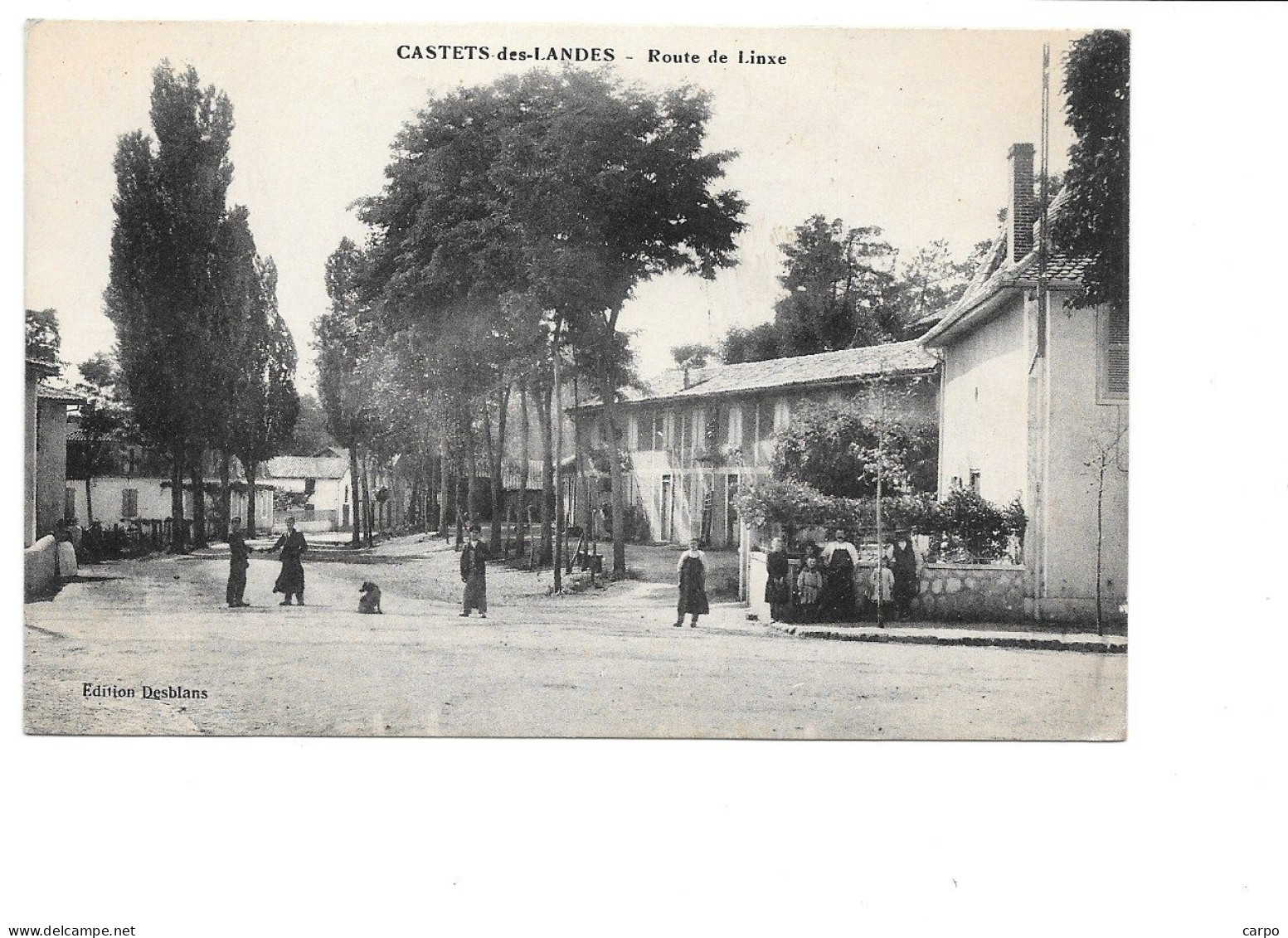 Castets-des-Landes. - Route De Linxe. - Castets