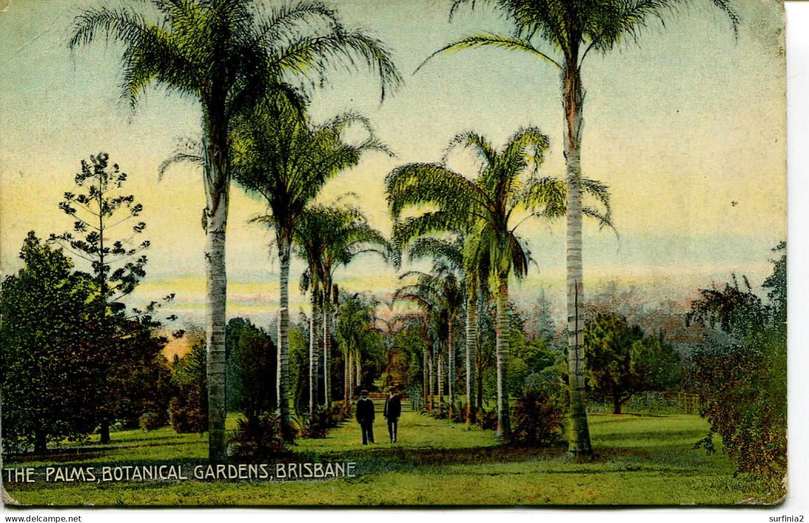 AUSTRALIA - BRISBANE - THE PALMS, BOTANICAL GARDENS 1910 - Brisbane