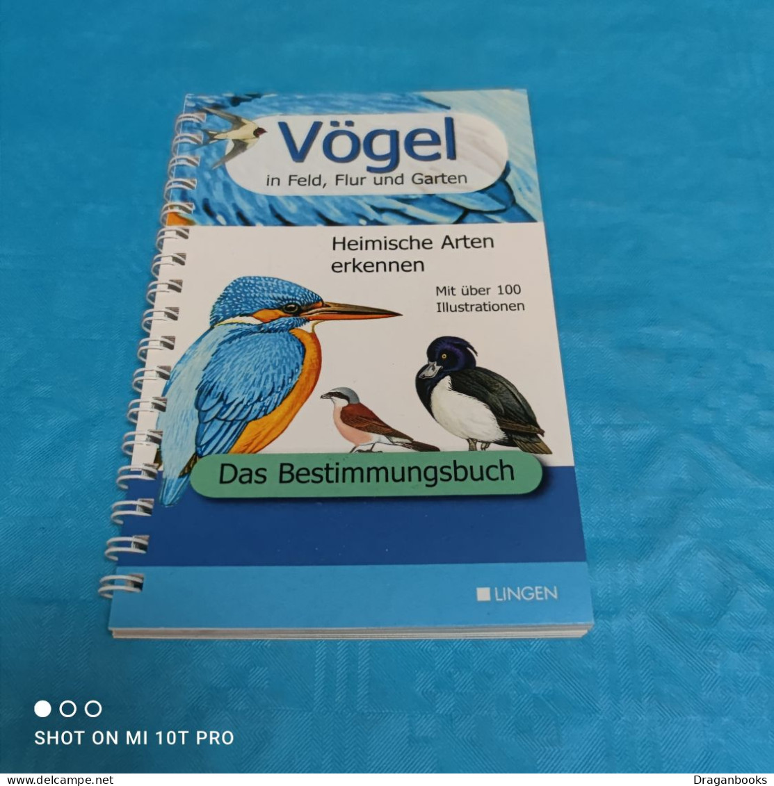 Vögel In Feld Flur Und Garten - Animales