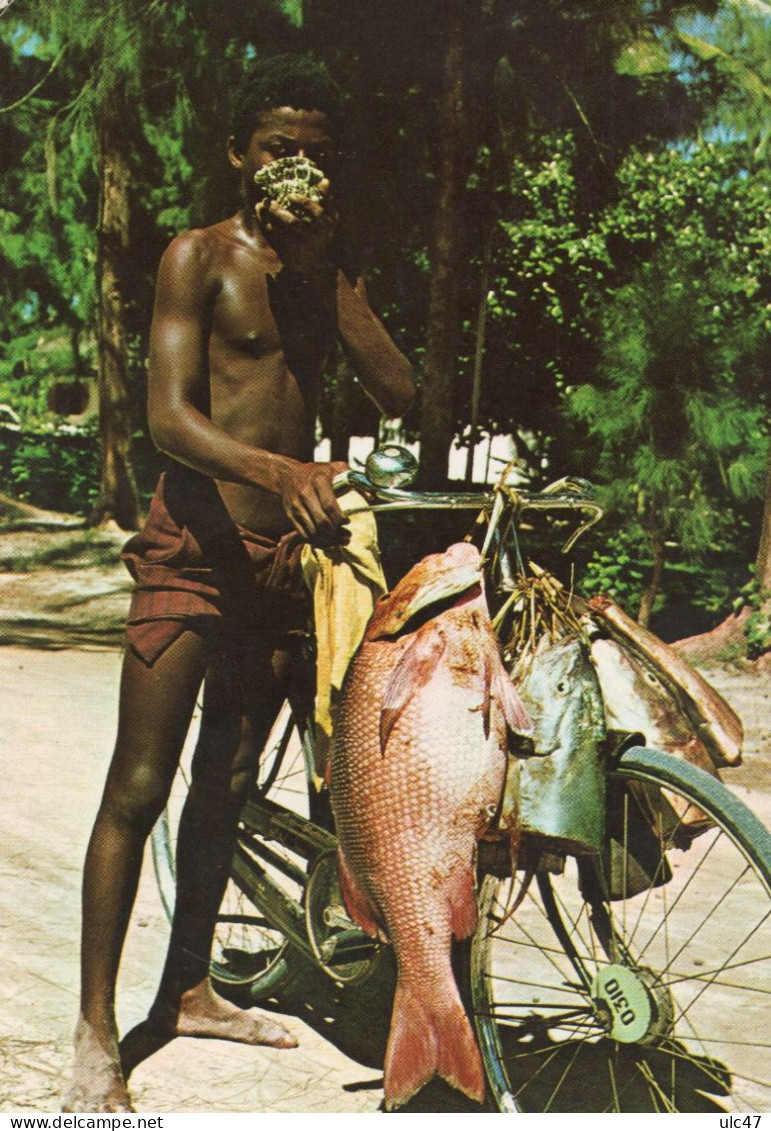 - SEYCHELLES. - Fish For Sale. Fisherman Blows Shell To Attract Customers. - Scan Verso - - Seychelles