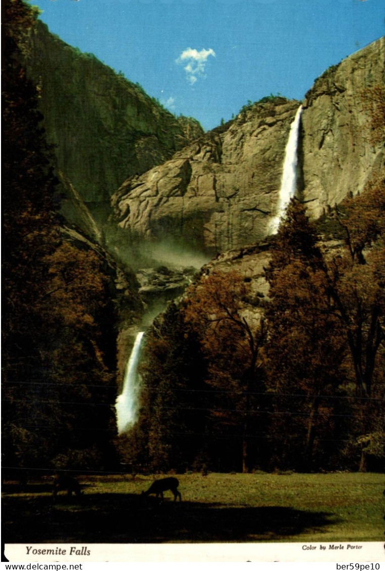 USA YOSEMITE FALLS YOSEMITE NATIONAL PARK PHOTO COLOR BY MERLE PORTER - Yosemite