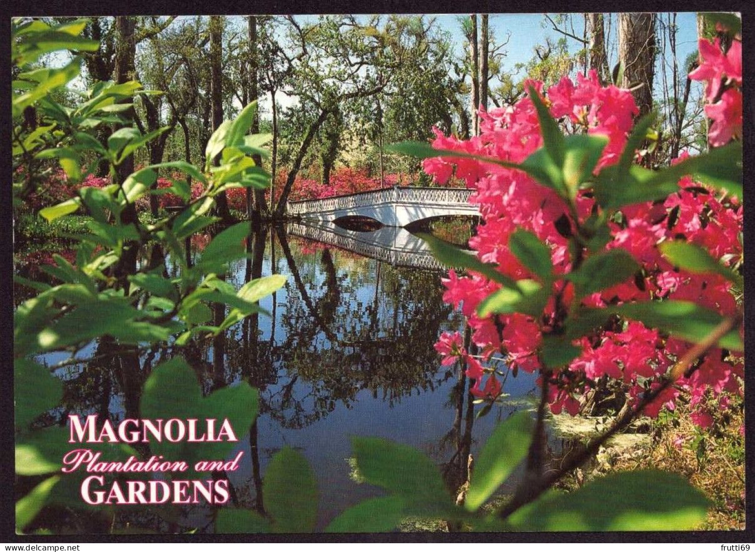 AK 126023 USA - South Carolina - Charleston - Magnolia Plantations And Gardens - Charleston