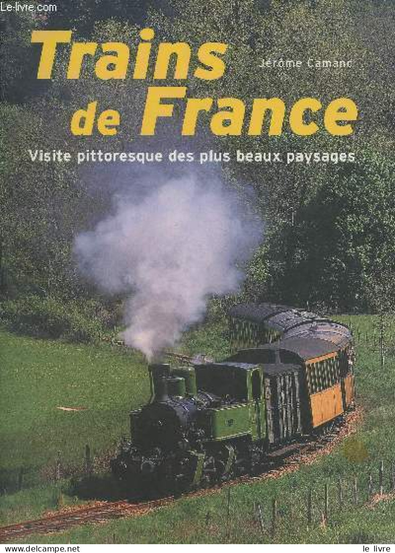 Trains De France - Visite Pittoresque Des Plus Beaux Paysages. - Camand Jérôme - 2008 - Railway & Tramway