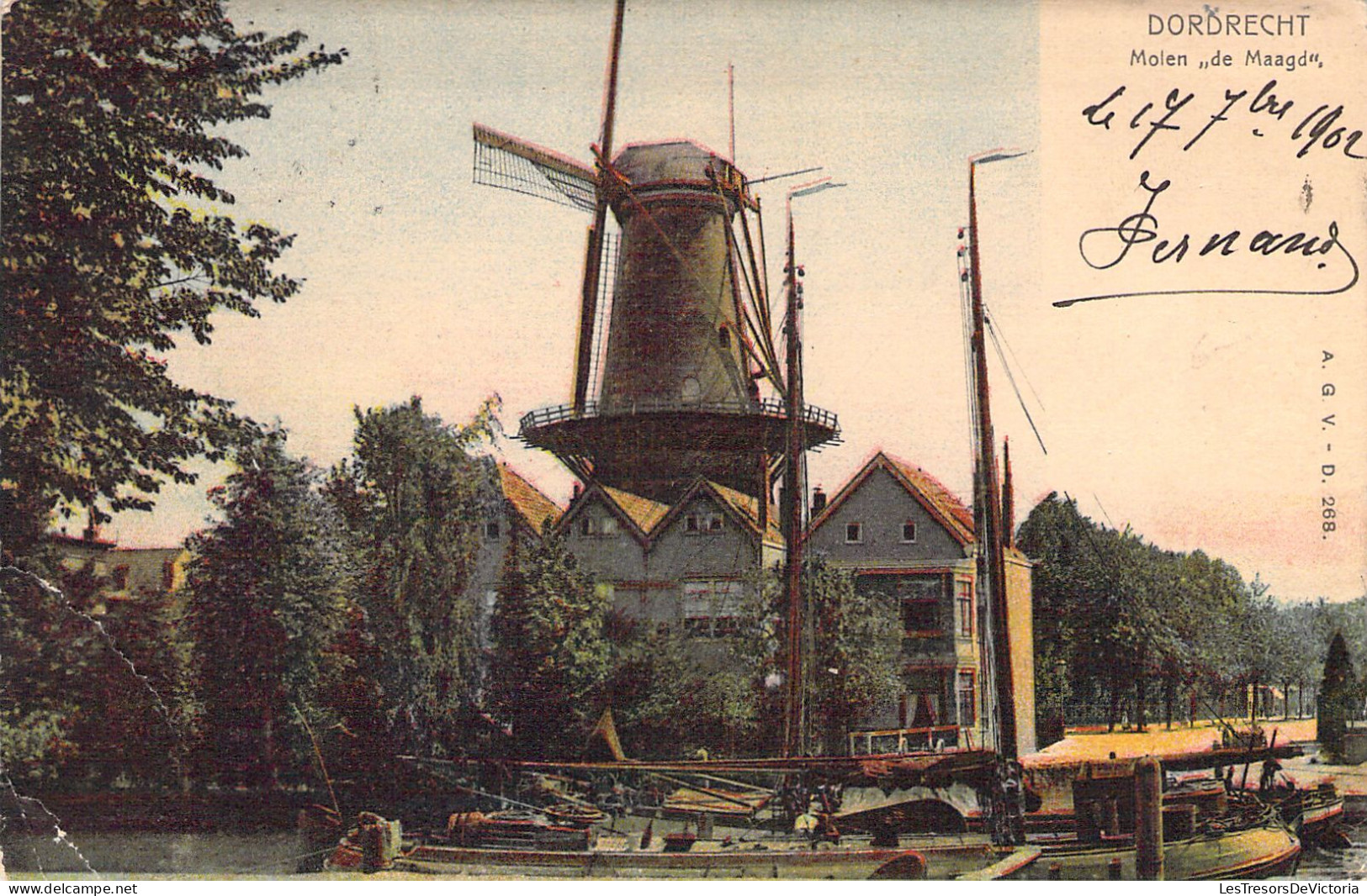 PAYS BAS - DORDRECHT - Molen De Maagd - Carte Postale Ancienne - Altri & Non Classificati