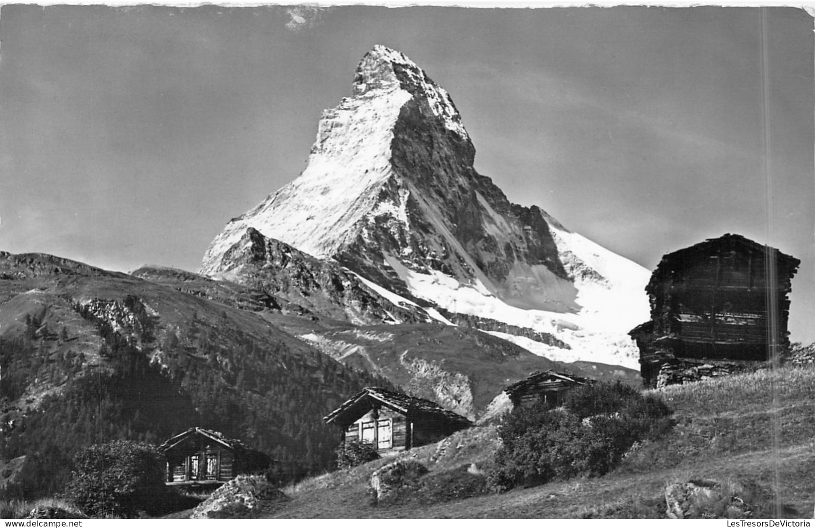 SUISSE - Zermatt - Winkelmatten - Matterhorn - Carte Postale Ancienne - Matten Bei Interlaken