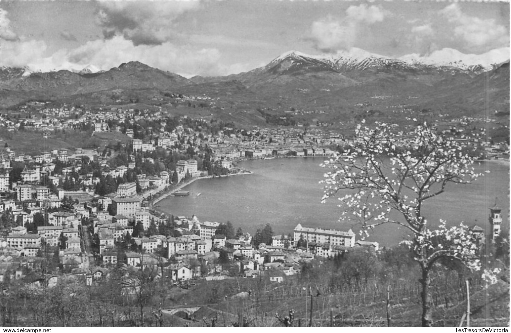 SUISSE - Lugano - Paradiso - Panorama - Carte Postale Ancienne - Lugano