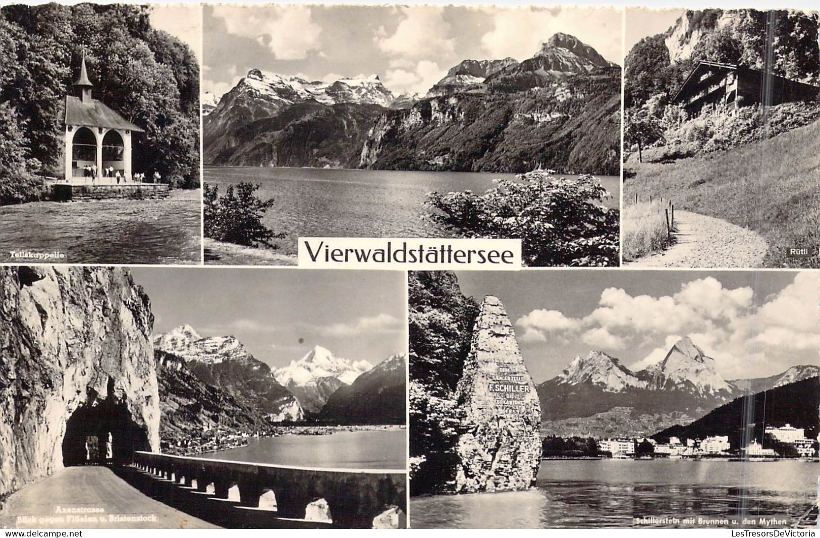 SUISSE - Vierwaldstattersee - Carte Postale Ancienne - Wald