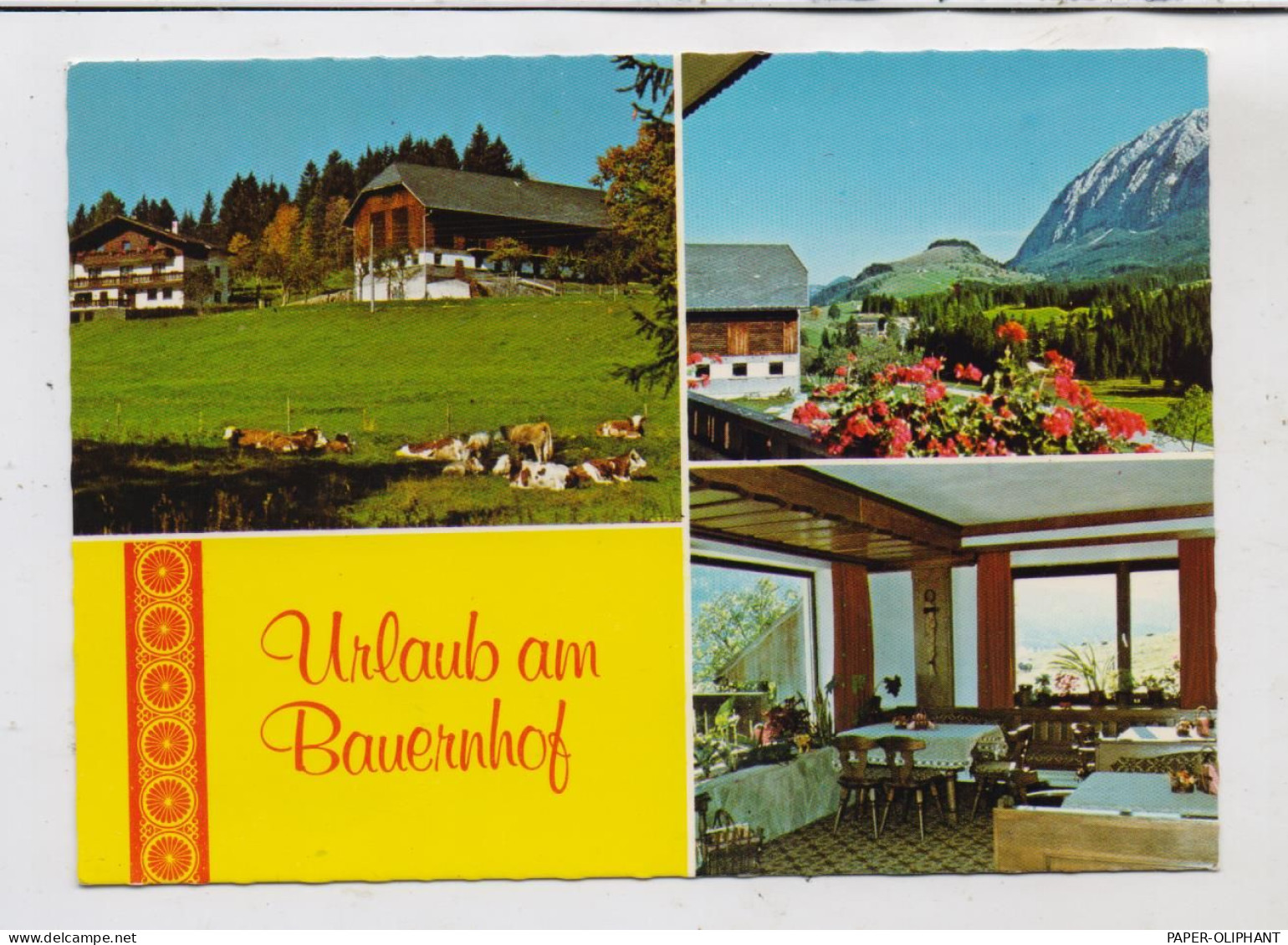 A 8983 BAD MITTERNDORF, Urlaub Am Bauernhof, Hoisbauer - Bad Mitterndorf