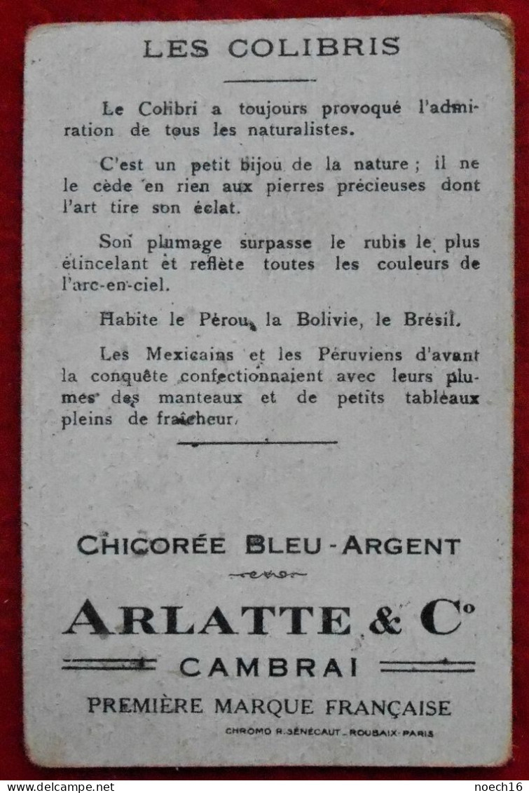 Chromo Publicité. Chicorée Bleu-Argent. Arlatte Et C°, Cambrai. Les Colibris Série 5410 : 3 - Tee & Kaffee