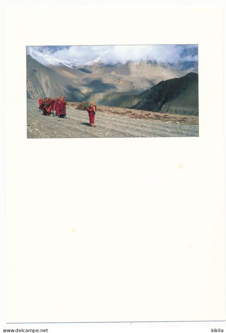 CPSM / CPM 10.5 X 15 Népal (2)   Bouddhistes En Chemin Vers Muktinath - Népal