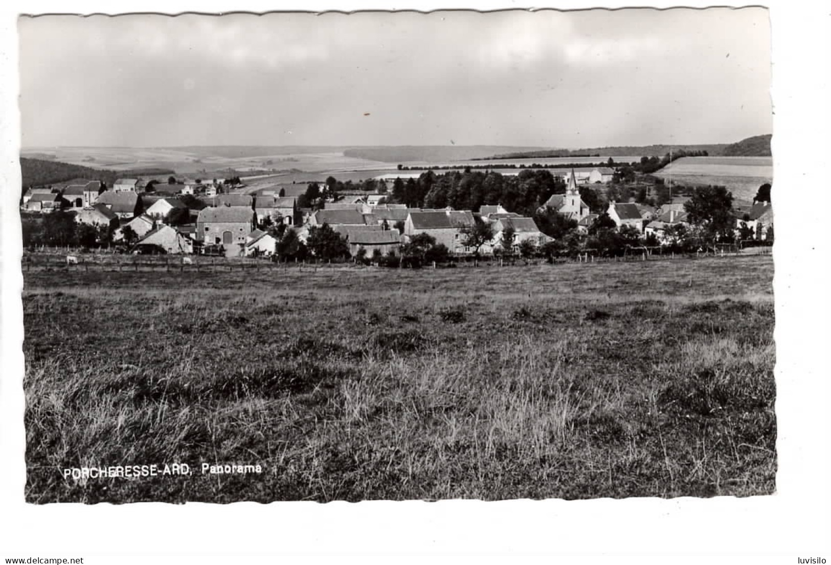 Porcheresse Ard Panorama - Daverdisse